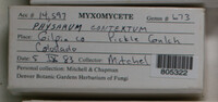 Image Associated With the Occurence